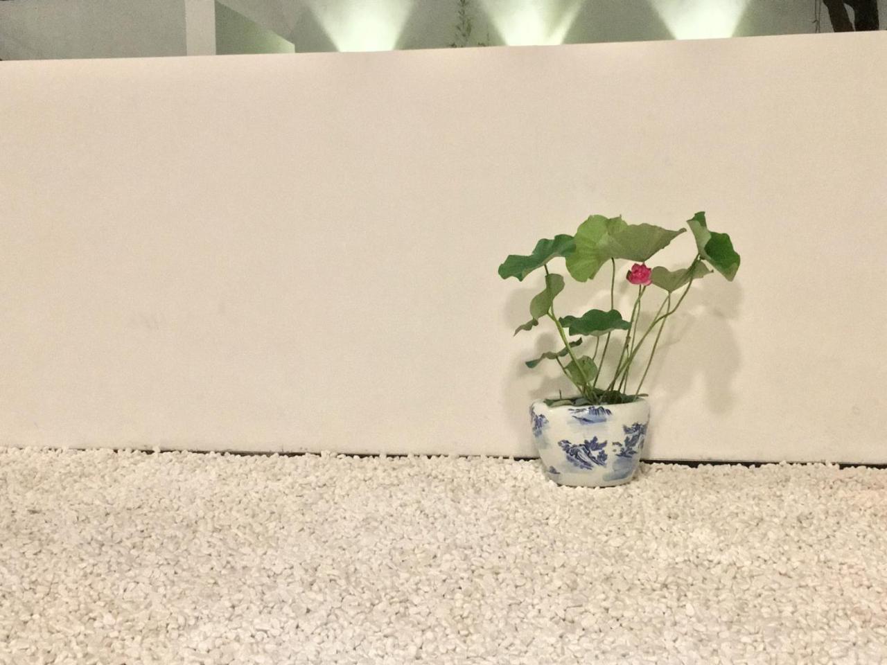 Hidden Garden International Youth Hostel -Near Oriental Pearl &Lujiazui -Garden Social Area -Bar -Cafe -Free Laundry Luggage Storage -24H Front Desk -English Service Shanghaj Zewnętrze zdjęcie
